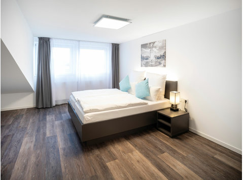 No kitchen- Awesome Deluxe Suite in Mannheim - For Rent