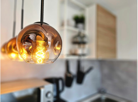 Stylish business apartment Mannheim - De inchiriat