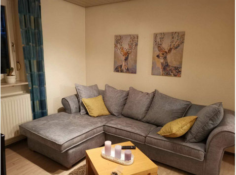 Well maintained basement apartment in Wallstadt - השכרה