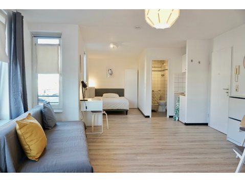 nice furnished flat in Mannheim, ideal connection for… - For Rent