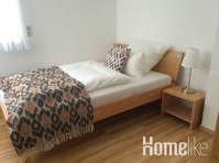 Small and nice apartment in Mannheim - Apartmani