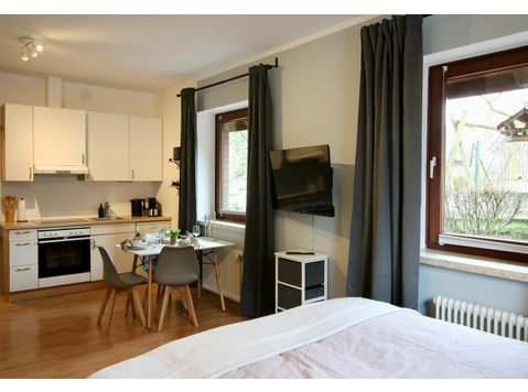 Beautiful 1 BR apartment with TV and kitchen (Rosengarten) - Annan üürile
