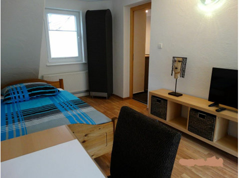 Beautiful, nice suite located in Stuttgart - השכרה