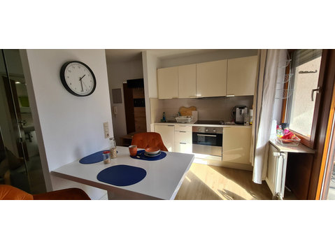 Bright 1-room apartment in Stuttgart-Killesberg - Alquiler