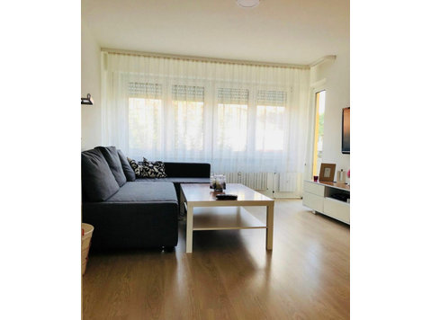 Central, Cute apartment in Stuttgart near Porsche, Bosch… - Til leje