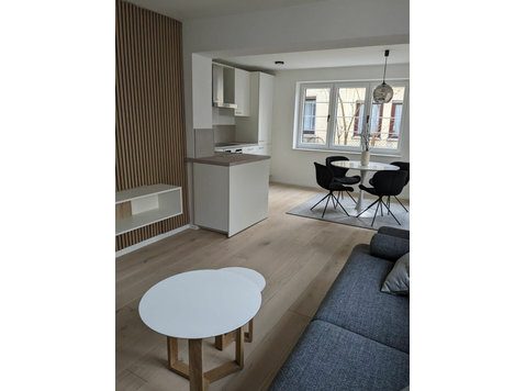 Charming Duplex-Apartment in Stuttgart - Til Leie