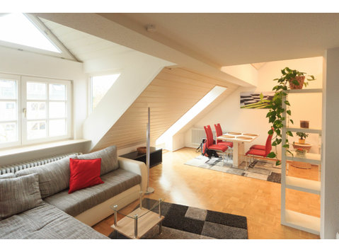 Exclusive duplex apartment - Til leje