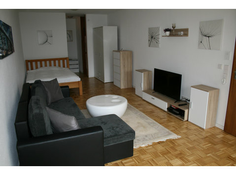Fantastic, bright apartment in Stuttgart - Aluguel