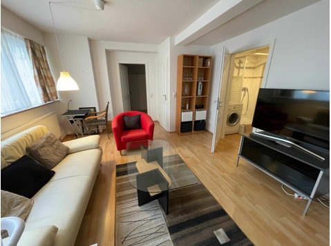 Fully furnished 1 bed room apartment in S-Wangen - Til Leie