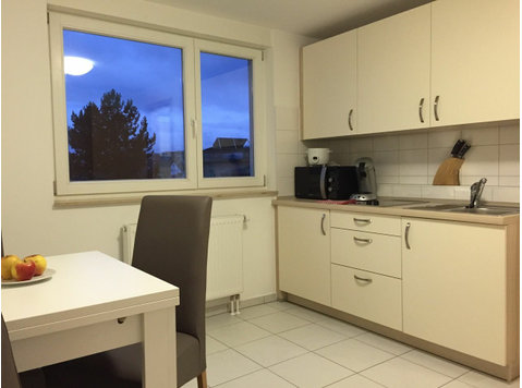 Furnished 1,5 room apartment in Stuttgart near Porsche - For Rent