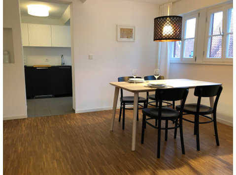 Gorgeous loft (Stuttgart) - For Rent