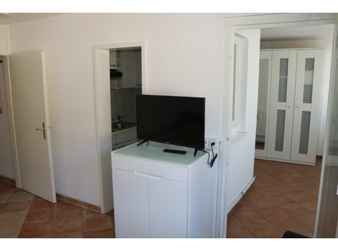 Lovely and fashionable XL Studio Apartment in center of… - For Rent