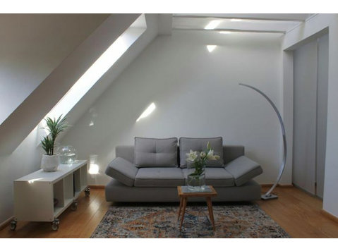 Modern 2 room apartment near Kurpark in Bad Cannstatt - Til Leie