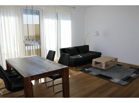 Quiet suite in Stuttgart - De inchiriat