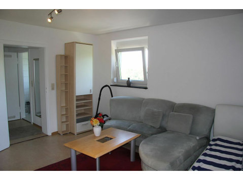 Stylish, modernized 1-room apartment with balcony in… - За издавање