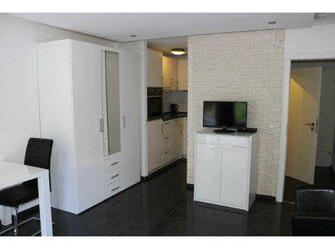 modern studio apartment in Stuttgart center olgastrasse - For Rent