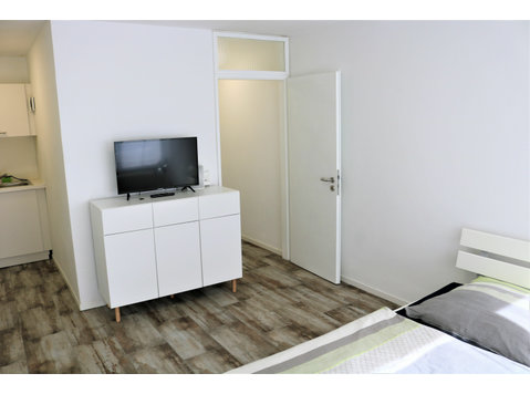 modern studio apartment in Stuttgart center - For Rent