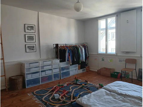 Perfect, fantastic loft in Tübingen - De inchiriat