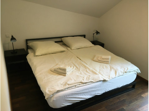 Spacious, quiet 2-bed flat in Tübingen - Til Leie