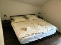 Spacious, quiet 2-bed flat in Tübingen - Izīrē