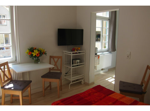 Studio-Apartment in historic town - university, clinics by… - De inchiriat