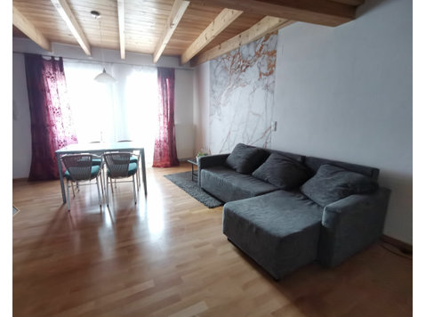 cosy apartment with fireplace near Bodensee Lake - For Rent