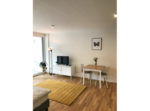 Awesome and cute home near school, Ulm - For Rent