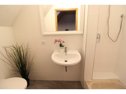 Awesome, cute studio (Ulm) - For Rent