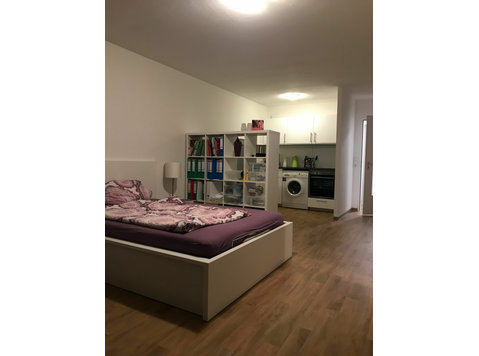 Spacious, lovely loft in Neu-Ulm - For Rent