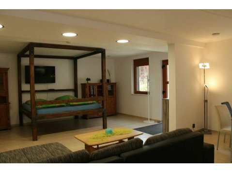 1-room apartment in Wald-Michelbach, idyllic with upscale… - الإيجار