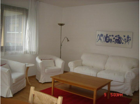 Gorgeous and Cute flat in Erlangen Center - For Rent