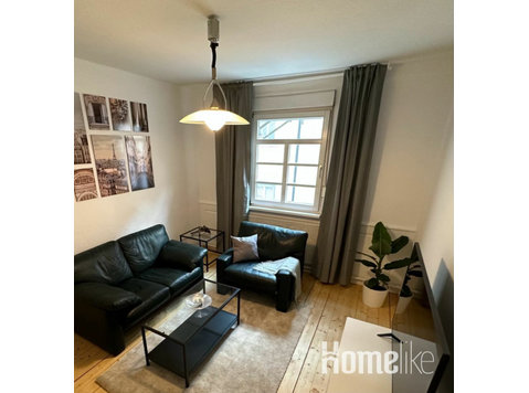 Bright, newly furnished apartment in the heart of Erlangen - Căn hộ
