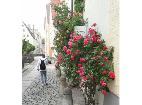 Charming apartment directly in the centre of Augsburg's old… -  வாடகைக்கு 