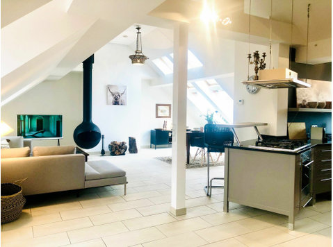 Beautiful and great loft located in München - For Rent