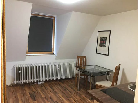 Cosy studio in Munich with excellent transport connections… - השכרה
