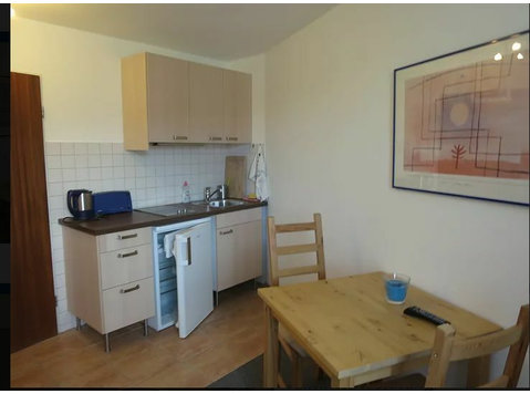 Furnished single studio in Munich with good transport… - For Rent