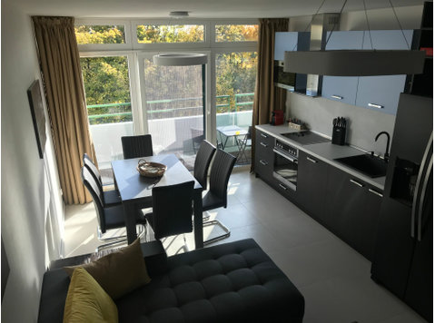 Large Luxury Apartment with view in Munich - For Rent