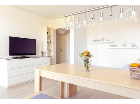Modern 1 Room Apartment in Nuremberg - For Rent