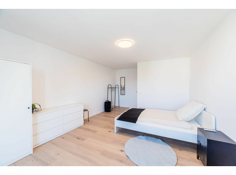 Modern room in a shared Business apartment for 3 people - For Rent
