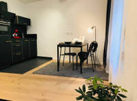 Charmantes und wunderschönes Studio Apartment in Nürnberg - Zu Vermieten
