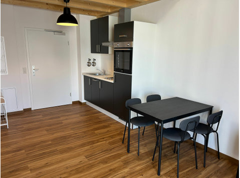 Furnished new apartment - For Rent