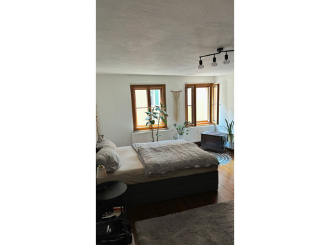 Gorgeous, cozy home located in Regensburg - For Rent