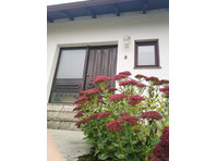 Neat, quiet flat in Regensburg - For Rent
