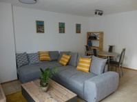 Exclusive cozy apartment in the ♥ of Franconia - For Rent