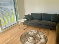 Würzburg: Exclusively and stylishly furnished new apartment… - Aluguel