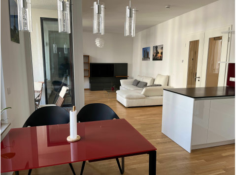 Beautiful new flat between Kreuzberg, Mitte and Tiergarten - For Rent