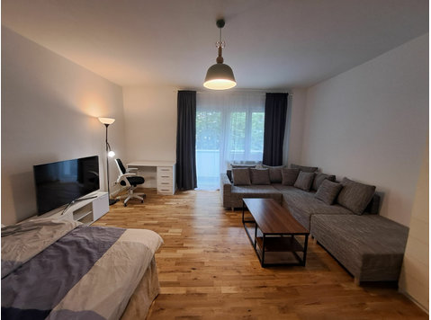 Cozy Apartment. Recently renovated - À louer