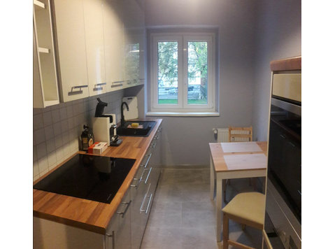 Cozy and nicely renovated flat with modern kitchen - Izīrē