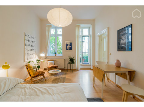 Lovingly furnished studio apartment in Prenzlauer Berg - K pronájmu