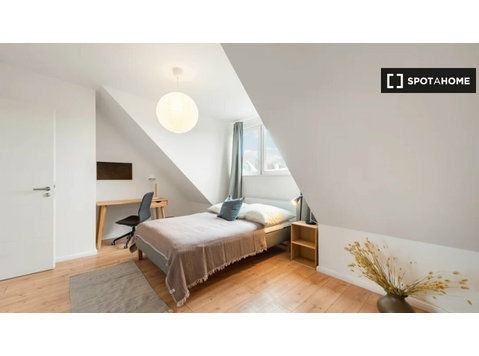 Berlin'de ortak dairede kiralık oda - Kiralık